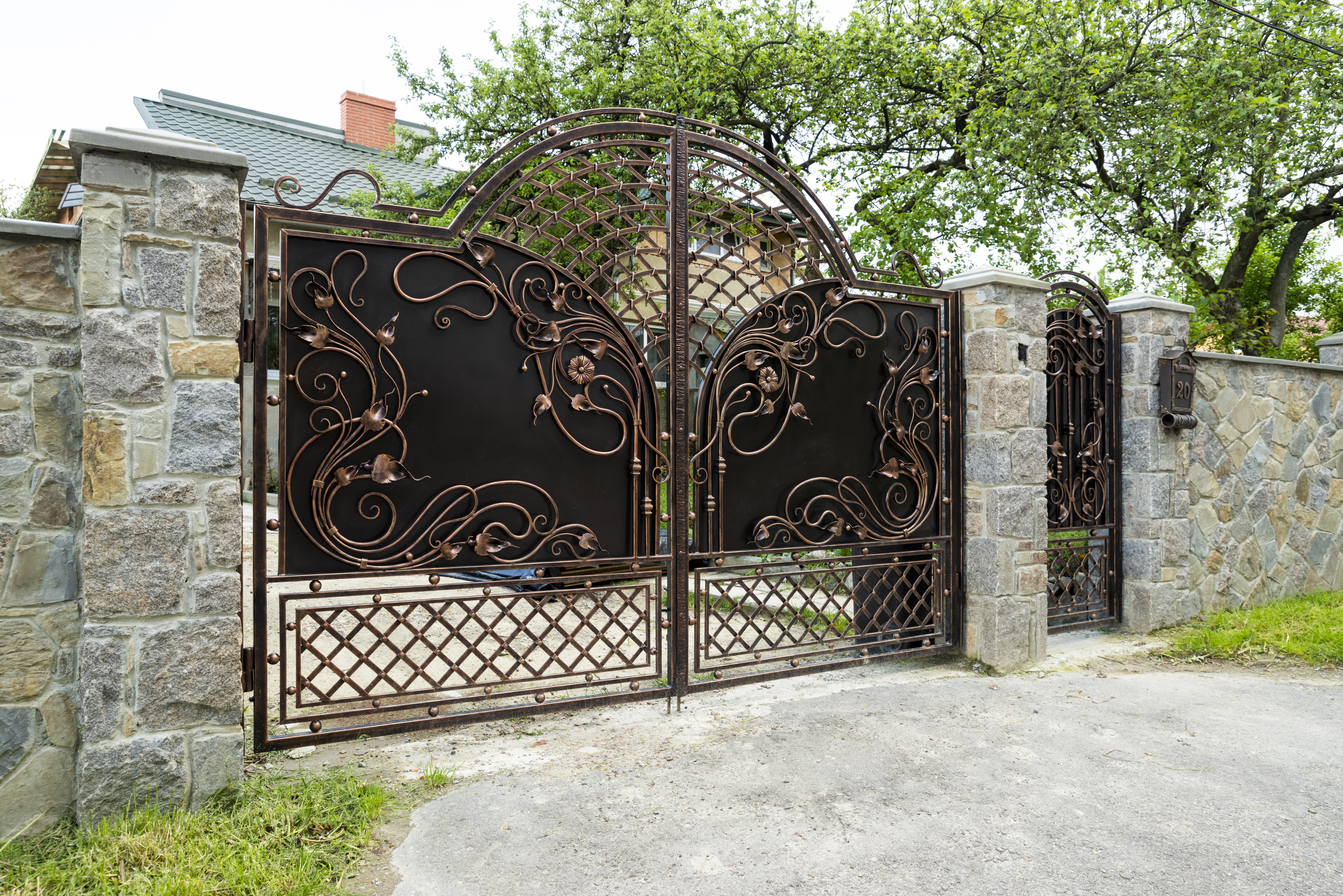 Front View Straws and Plant